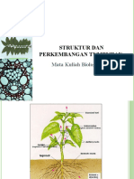 Struktur Dan Perkembangan Tumbuhan: Mata Kuliah Biologi, 2015