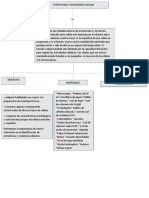 Estructura y Diversidad Celular