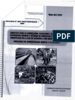 Directiva N° 01- FORMULACION, EVALUACION  Y APROBACION DE EXPEDIENTES.pdf