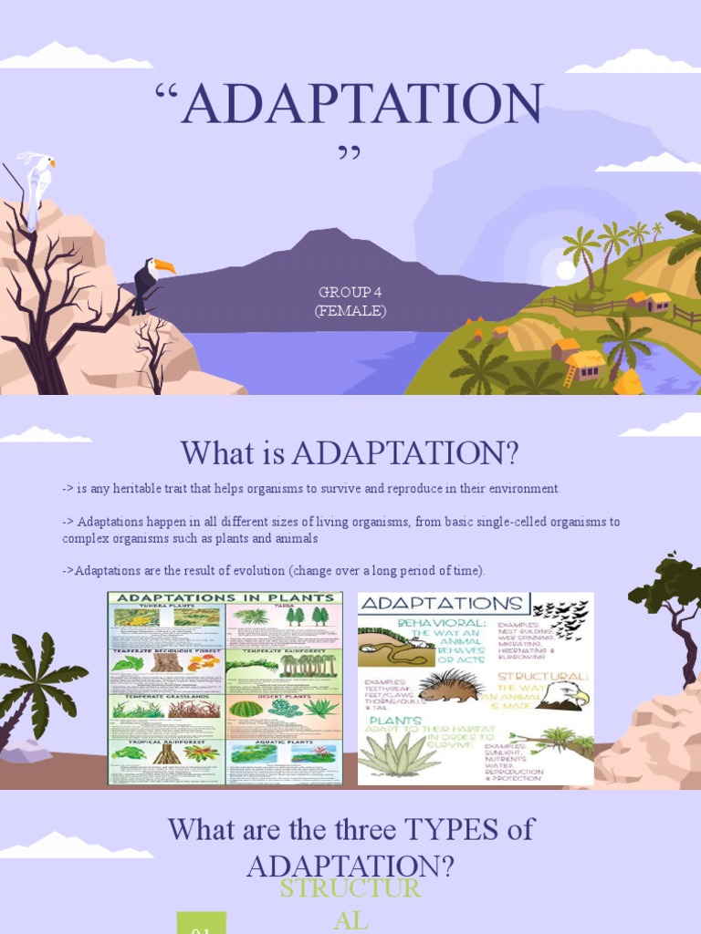 Adaptation Group 4 Female | PDF
