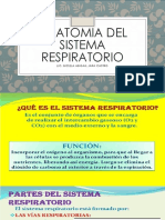 Anatomia Del Sistema Respiratorio Clase 8