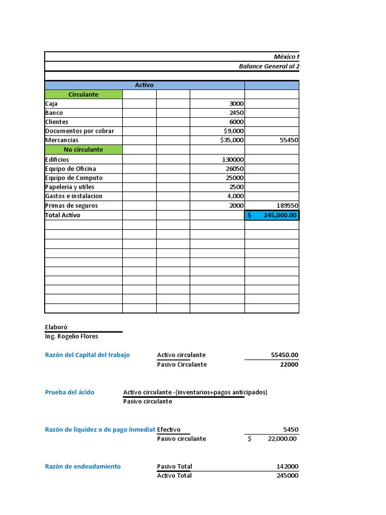 Balance General Ejercicio 2022.1 | PDF | Contabilidad | Hoja de balance