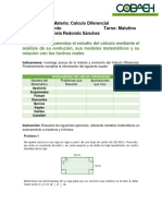 Actividades primer corte calculo diferencial  2021-B