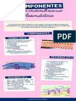 Componentes de La Membrana Plasmática