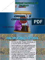 Citosol y Citoesqueleto