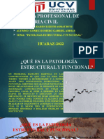 Patologia Estructural y Funcional