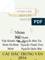 Vùng Van Hóa Tây Nguyên