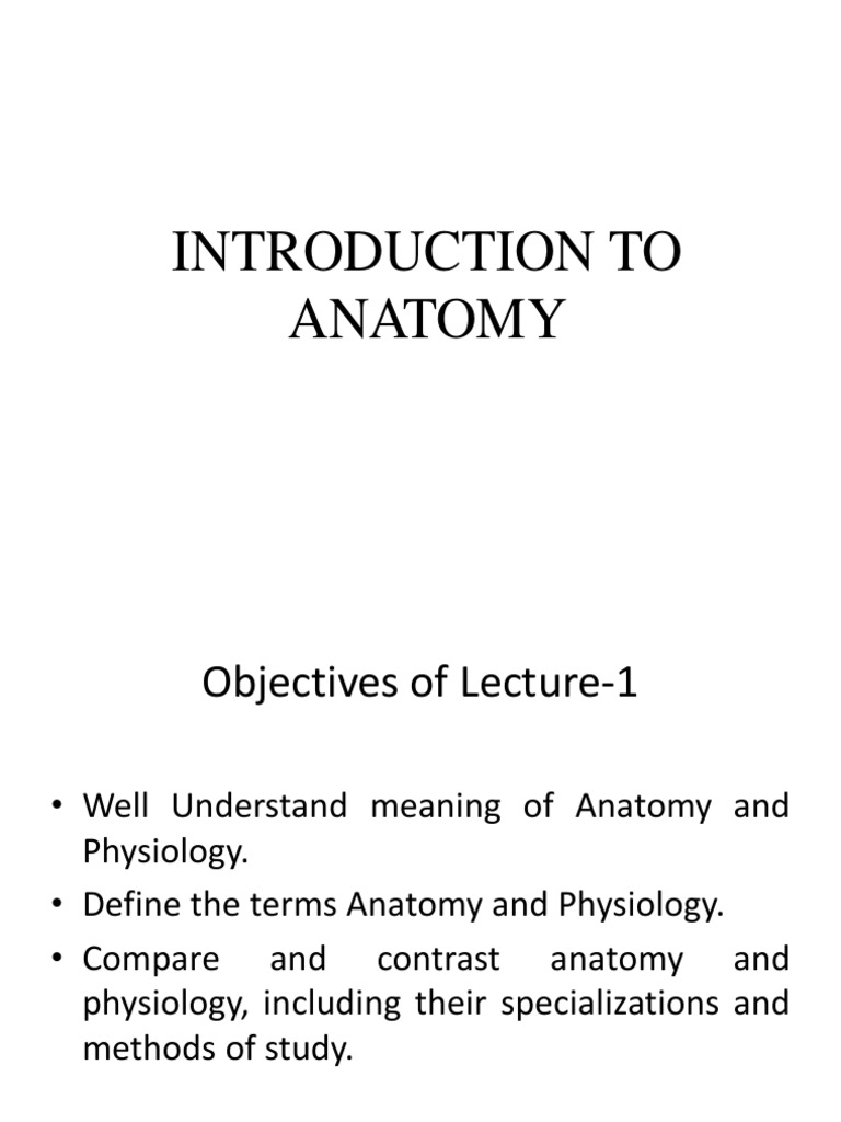Basic Anatomy and Physiology | PDF