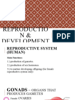 4 Animal Reproduction and Development