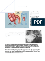 Appendecitis A and P