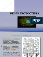 Reino Protoctista