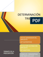 ULT DETERMINACIÓN TRIBUTARIA  2022 