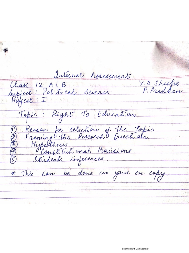 12 Political Science - Project | PDF
