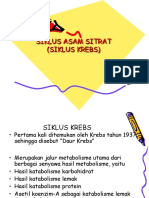 SIKLUS ASAM SITRAT (TCA)