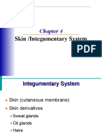Prelim, Integumentary System. PPT 6