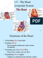 Midterm, Circulatory System-Heart. PPT 15