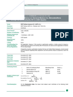 Format - Termsheet - CE18029CAW