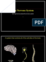 INTRO To Nervous Sys CNS