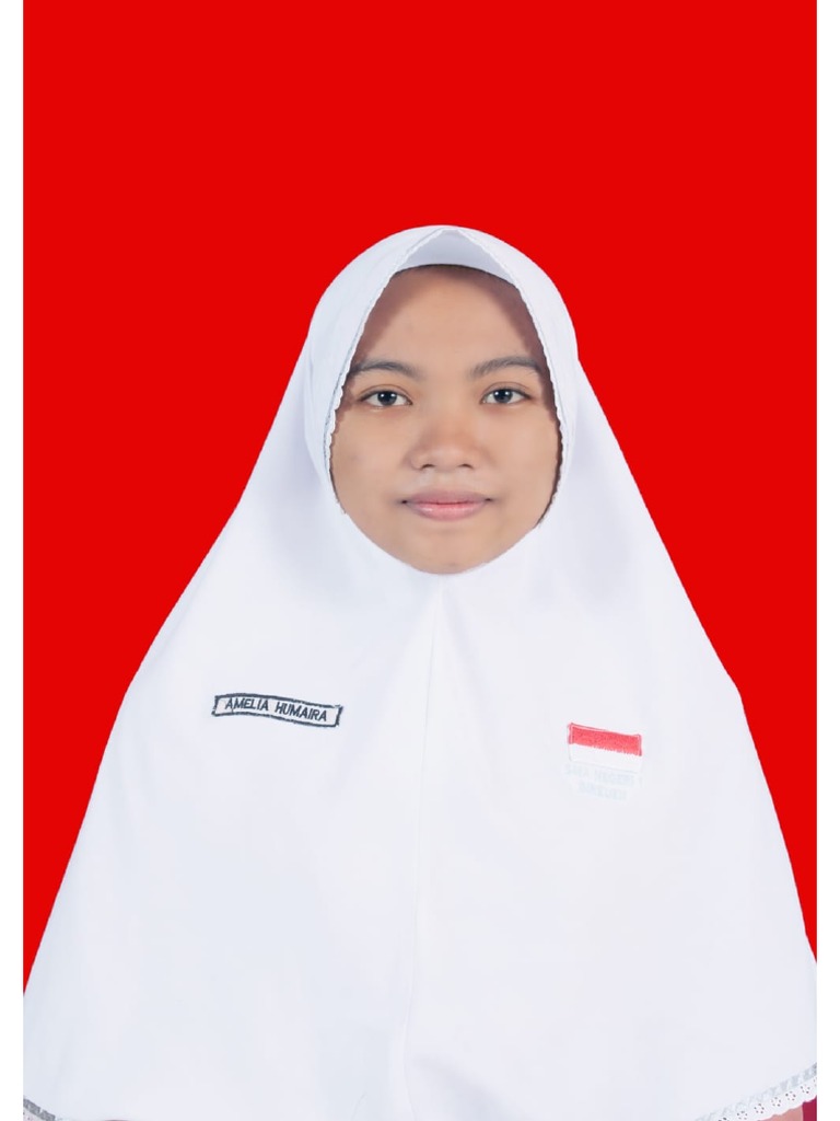 File pdf