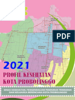 Profil Kesehatan 2021 Lengkap Kota PBL