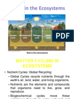ESDM CHRI Unit I Ecologicalcycles