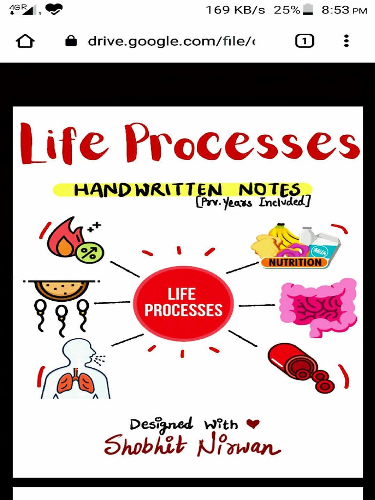 CHAPTER - 6 LIFE PROCESSES CLASS XTH 2020-2021 | PDF | Atrium (Heart ...