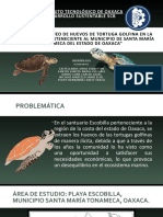 ANÁLISIS DEL SAQUEO DE HUEVOS DE TORTUGA