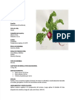 PDF Ficha Tecnica Rabanito - Compress
