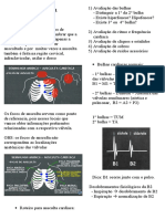 Ausculta Cardíaca