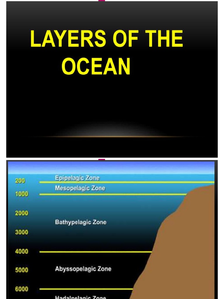 layers-of-the-ocean-pdf