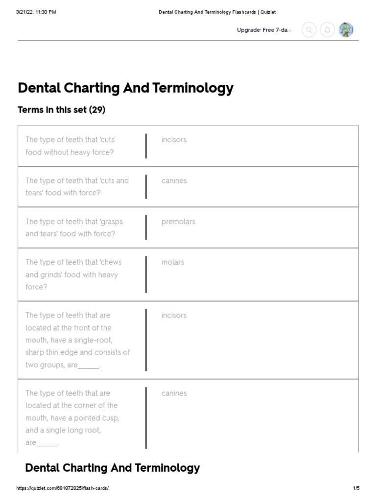 Dental Charting and Terminology Flashcards PDF Dentistry Tooth