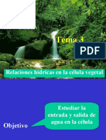 Tema 3. Relaciones Hidricas en La Celula Vegetal