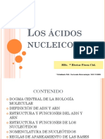 ACIDOS-NUCL-MBI Primer Charla