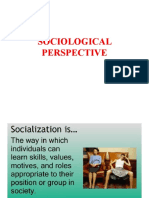 Sociological Perspective Report