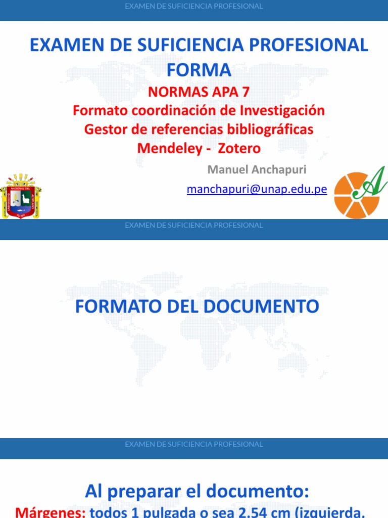 30 Formato y Normas Apa Informe Profesional M-Anchapuri | PDF ...