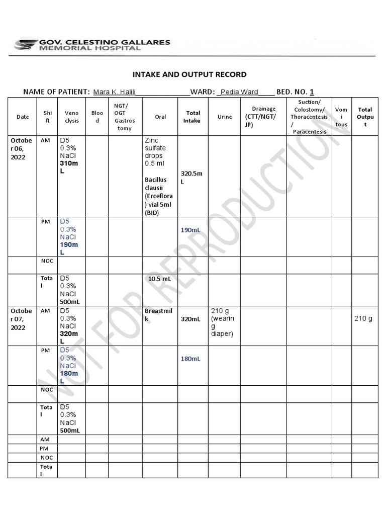 Intake and Output Record | PDF