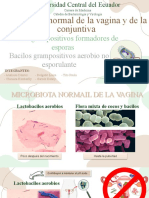 Grupo H - Bacteriología y virología