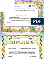 Diplome Divvers