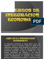 Exposicion Integracion Economica