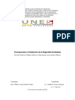 Concepciones y Tendencias. Derechos Politicos, Partidos Politicos y Participacion en Asuntos Publicos