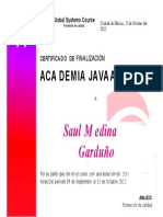 Diploma GSC Saul Medina-04