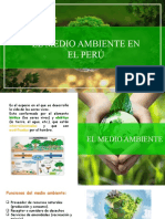 Medio Ambiente en El Peru