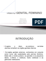 TRATO GENITAL FEMININO