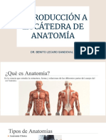 Introducción a la cátedra de anatomía