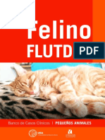 FLUTD Online