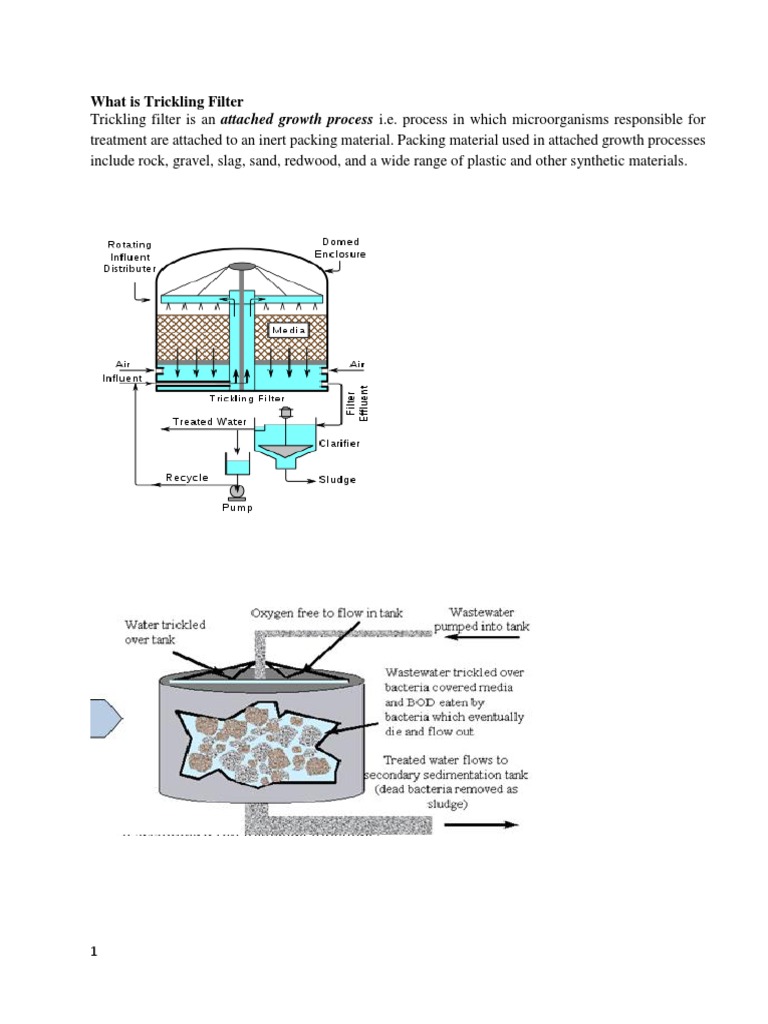 Topic 6.3 Trickling Filters Notes PDF Sewage Treatment Filtration