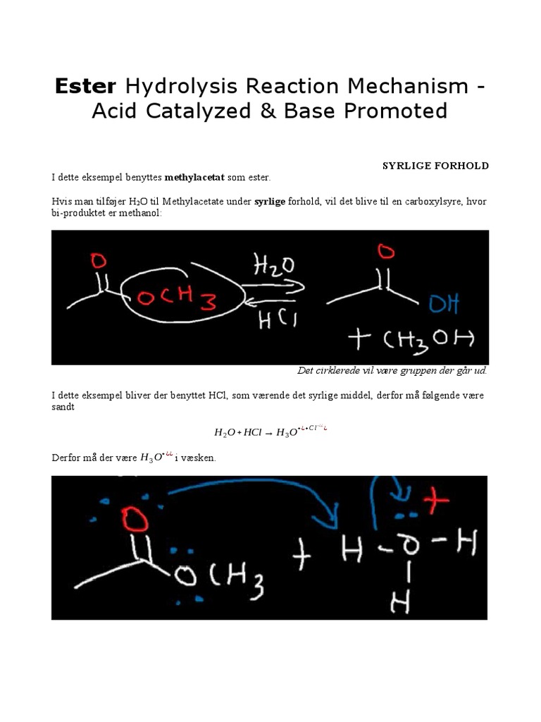 Ester Hydrolysis Reaction Mechanism PDF