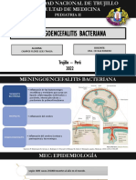 Meningoencefalitis Bacteriana - Leily Thaly