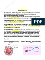 Cuestionario GENETICA M. 2