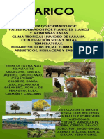 Infografía Guárico 